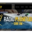 radio_ple01